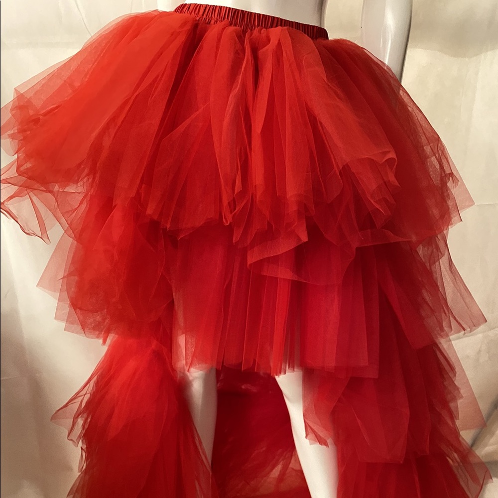 Tulle skirt